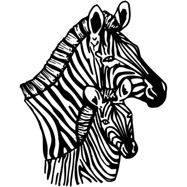 ZEBRA002 Thumbnail