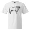 Custom Print Cotton T-Shirt Thumbnail