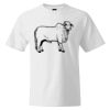 Custom Print Cotton T-Shirt Thumbnail