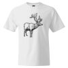 Custom Print Cotton T-Shirt Thumbnail