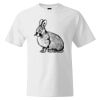 Custom Print Cotton T-Shirt Thumbnail