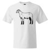 Custom Print Cotton T-Shirt Thumbnail