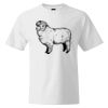 Custom Print Cotton T-Shirt Thumbnail