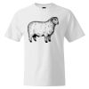 Custom Print Cotton T-Shirt Thumbnail