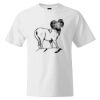 Custom Print Cotton T-Shirt Thumbnail