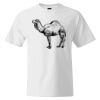 Custom Print Cotton T-Shirt Thumbnail