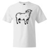 Custom Print Cotton T-Shirt Thumbnail