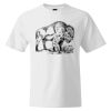 Custom Print Cotton T-Shirt Thumbnail