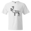 Custom Print Cotton T-Shirt Thumbnail